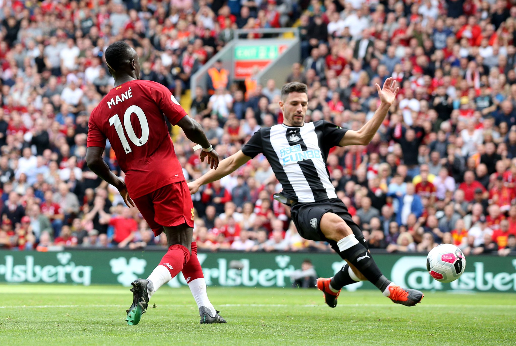 他们自己在 他们自己在